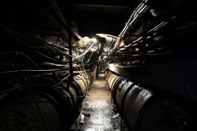 exploration-urbaine-dark-tourism-darmon-richter-Roots-and Branches 2