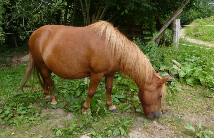 hebergement-insolite-bretagne-bois-du-barde-14