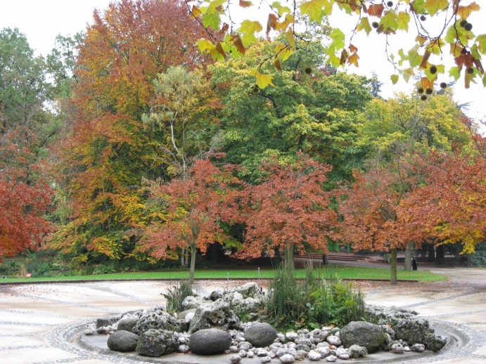 Automne_au_Parc_Floral_de_Paris_by_Line1