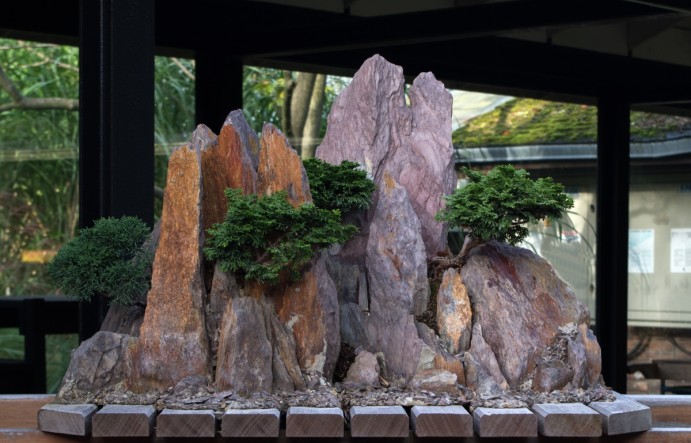 Dinkum-Bonsai_-_Parc_Floral