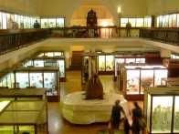 horniman_museum_interior
