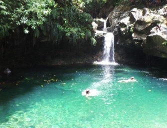 Le bassin Paradis, sur l’île Basse-Terre de Guadeloupe